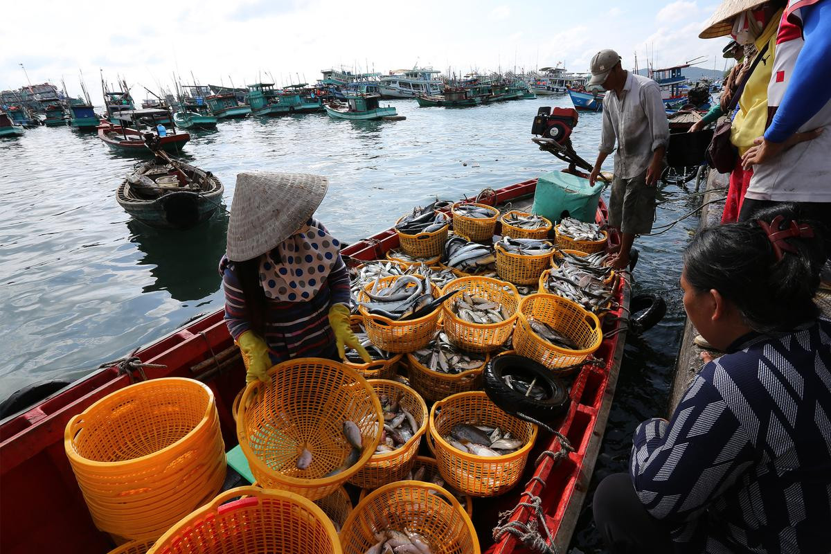 Cận cảnh sự trỗi dậy của Phú Quốc - nơi vừa trở thành phố đảo đầu tiên của Việt Nam Ảnh 12