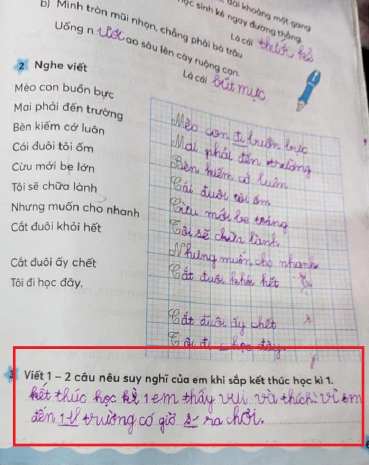 Được hỏi em thích điều gì khi đi học, cậu học sinh đưa ra đáp án khiến cô giáo ngã ngửa Ảnh 2