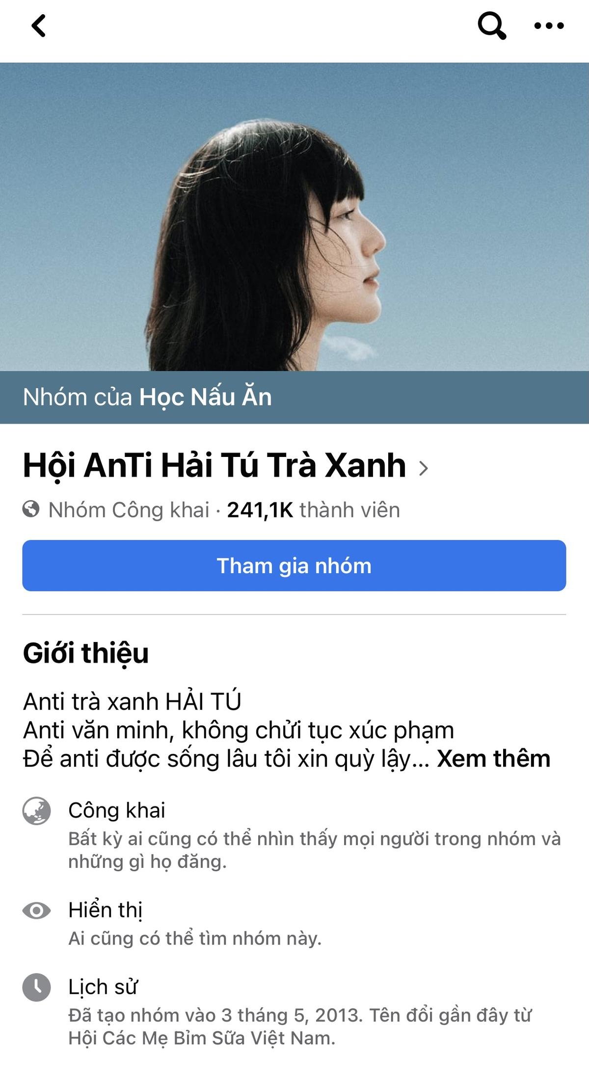 'Vượt mặt' Hương Giang 100K thành viên, Hải Tú là nghệ sĩ có group nhiều anti-fan nhất Vbiz Ảnh 6