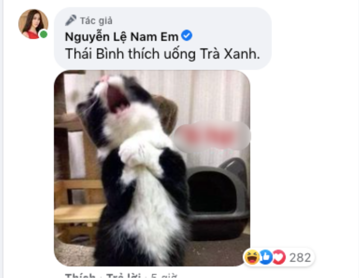 Nam Em thừa nhận Lãnh Thanh thích 'trà xanh' khi mới công khai hẹn hò 1 tháng? Ảnh 2