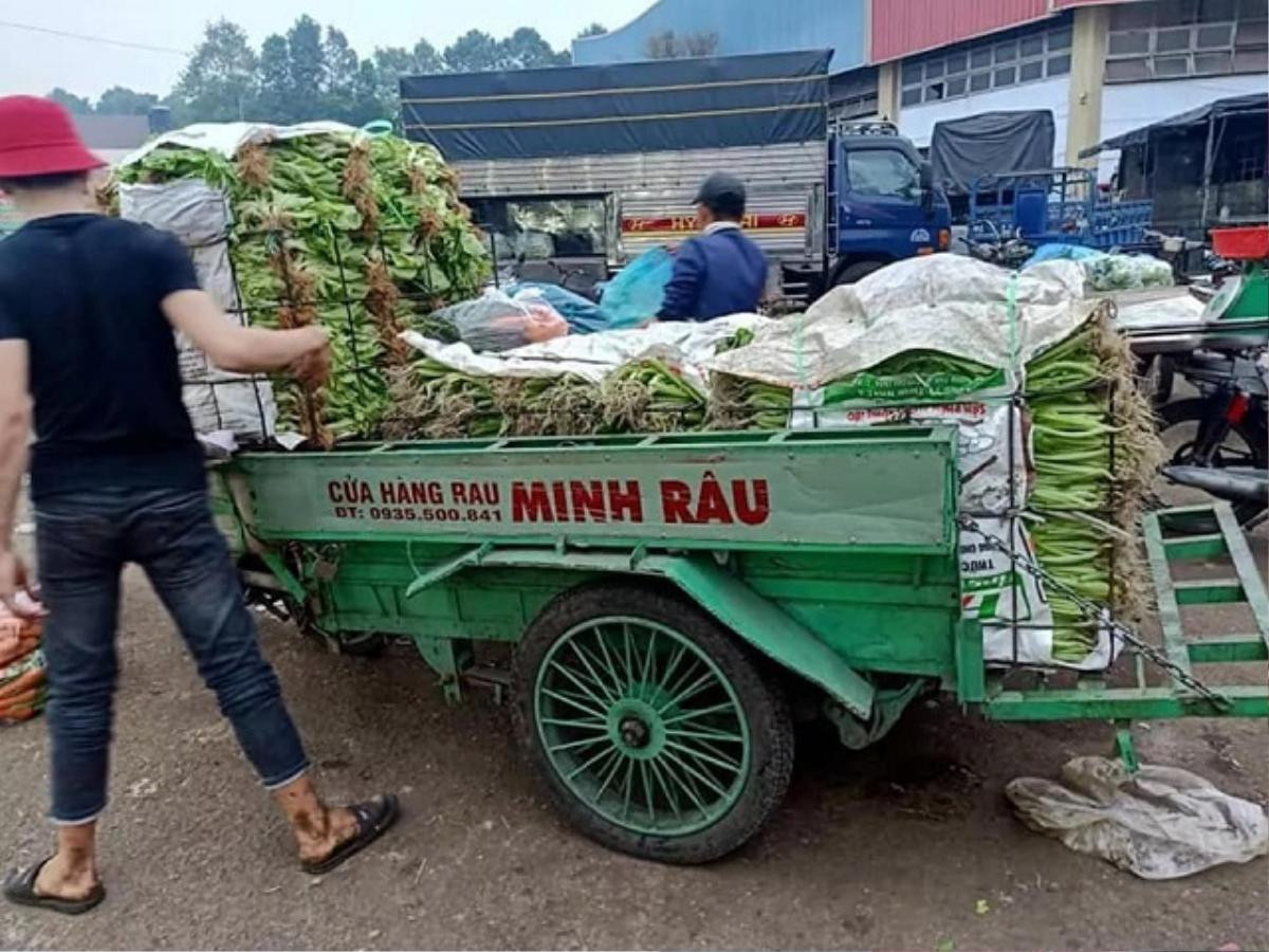 Ấm lòng xe rau miễn phí dành cho người nghèo và sinh viên của người đàn ông xăm trổ Ảnh 2