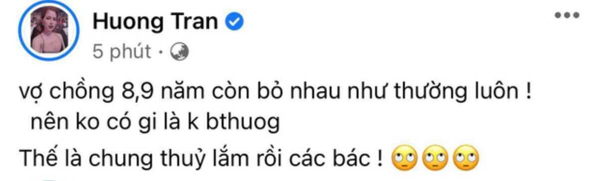 Vợ cũ Việt Anh lên tiếng giữa 'biến căng' Sơn Tùng và Thiều Bảo Trâm: 'Vợ chồng 8,9 năm còn bỏ nhau' Ảnh 3