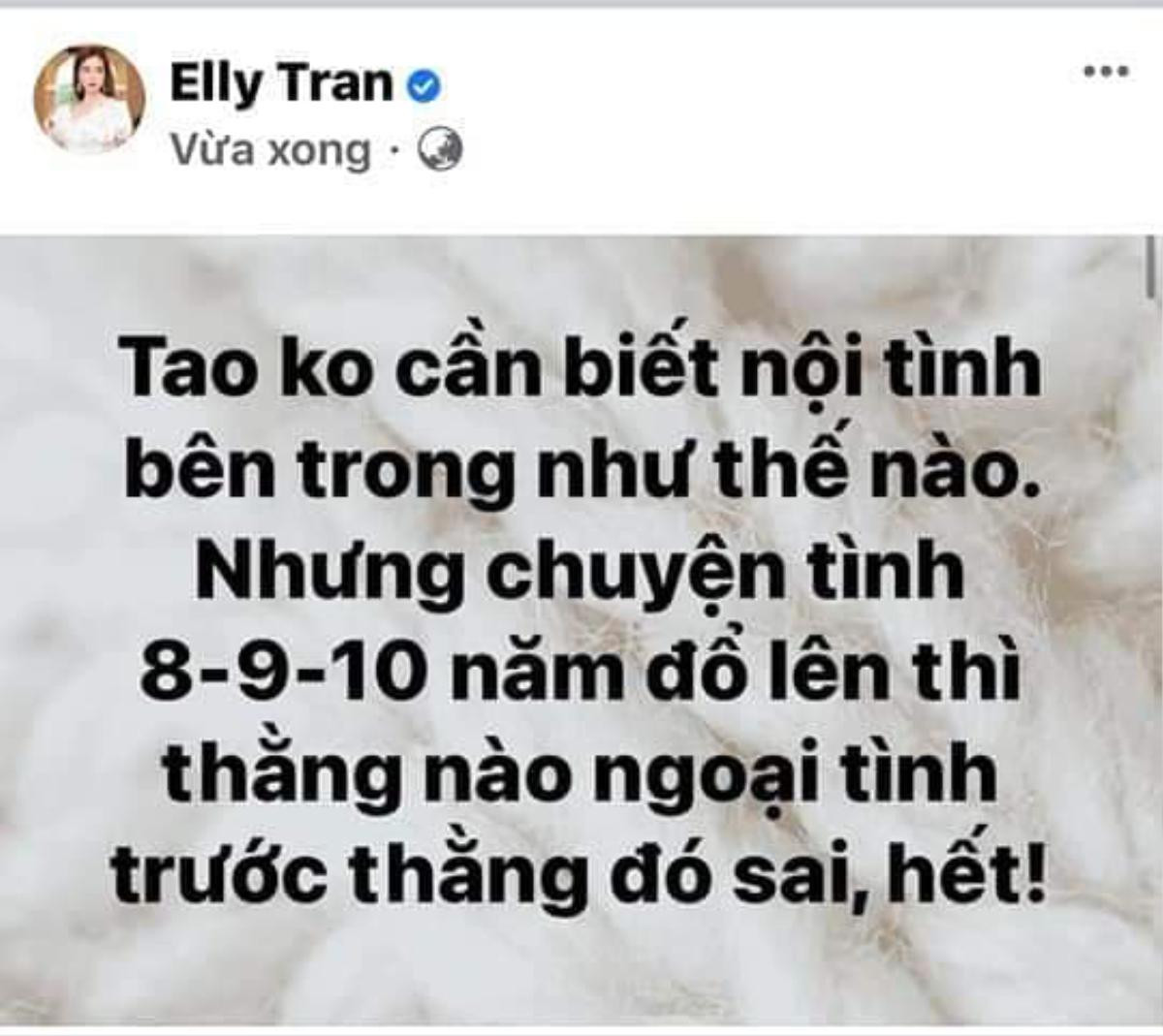 Elly Trần bị fan Sơn Tùng 'công kích' khi phát ngôn: 'Chuyện tình 8-10 năm, kẻ nào ngoại tình, kẻ đó sai' Ảnh 1