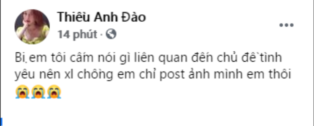 Chị gái tiết lộ bị Thiều Bảo Trâm cấm nhắc tới chuyện tình cảm với Sơn Tùng để mọi chuyện lắng xuống? Ảnh 3