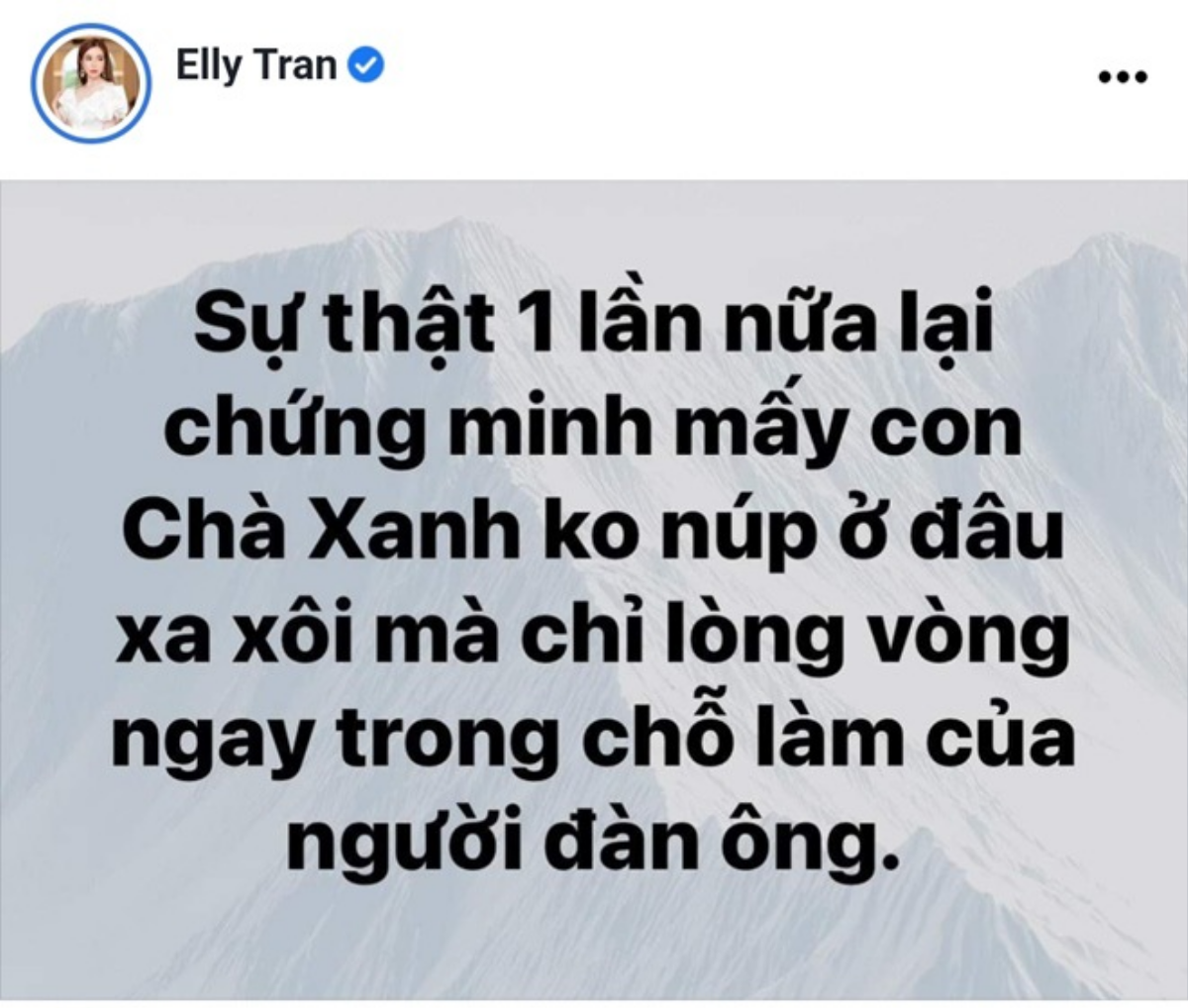 Bị nói là 'trà xanh' giật chồng người, Elly Trần đanh thép đáp trả Ảnh 2