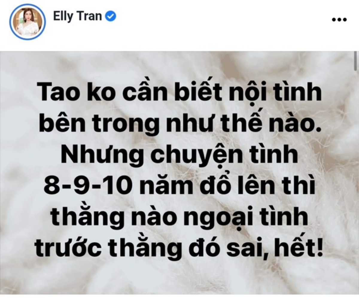 Bị nói là 'trà xanh' giật chồng người, Elly Trần đanh thép đáp trả Ảnh 3