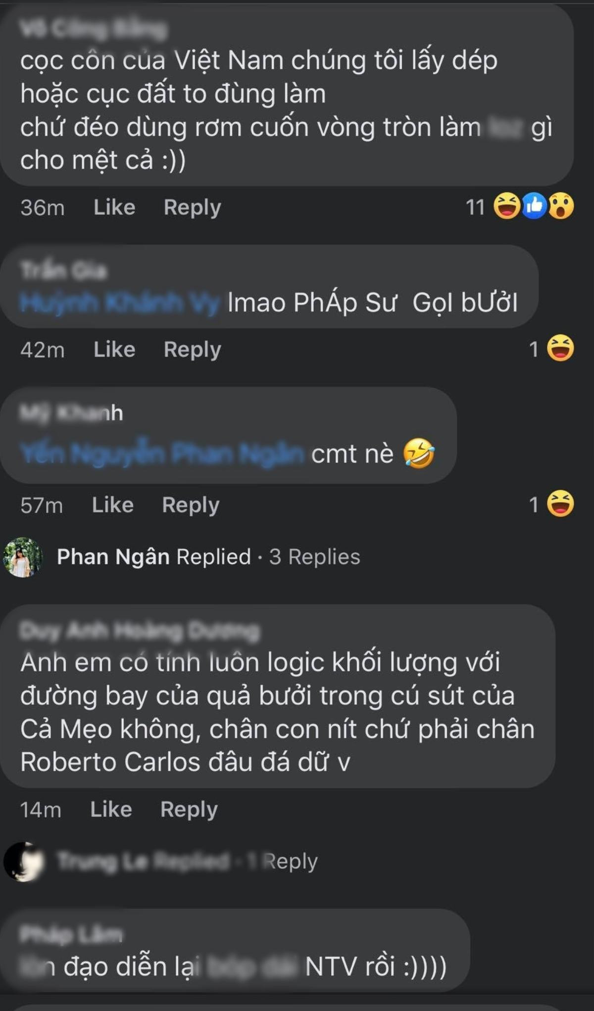 Trạng Tí lại gây tranh cãi với cảnh 'gọi bưởi': Không đổ gàu nước vào hố mà múc nước ao vào giếng Ảnh 17