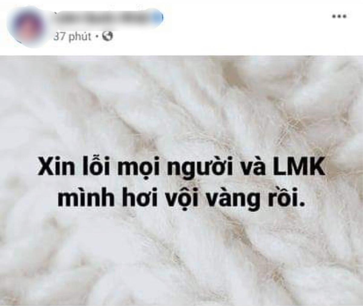 'Thánh lô tô' Lộ Lộ lên tiếng xin lỗi Lương Mỹ Kỳ sau phát ngôn vội vàng 'có trăng quên đèn' Ảnh 5