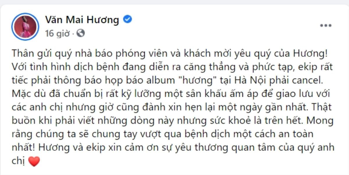 Đợt bùng dịch COVID-19 đầu 2021 đang ảnh hưởng thế nào đến showbiz Việt? Ảnh 7