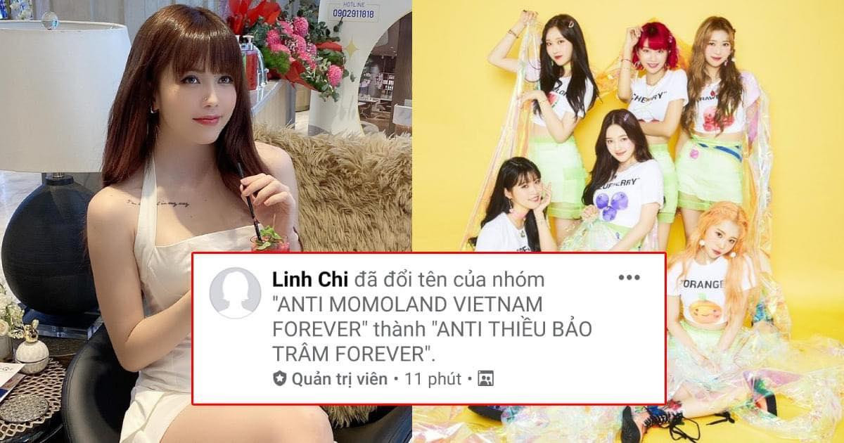 Hoang mang: Group anti-fan Momoland bất ngờ chuyển hướng 'tấn công' Thiều Bảo Trâm Ảnh 2