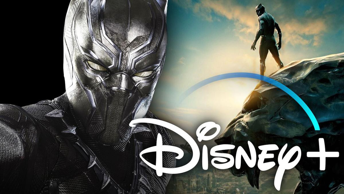 Vũ trụ điện ảnh Marvel: Black Panther sẽ có series riêng trên Disney+ Ảnh 5