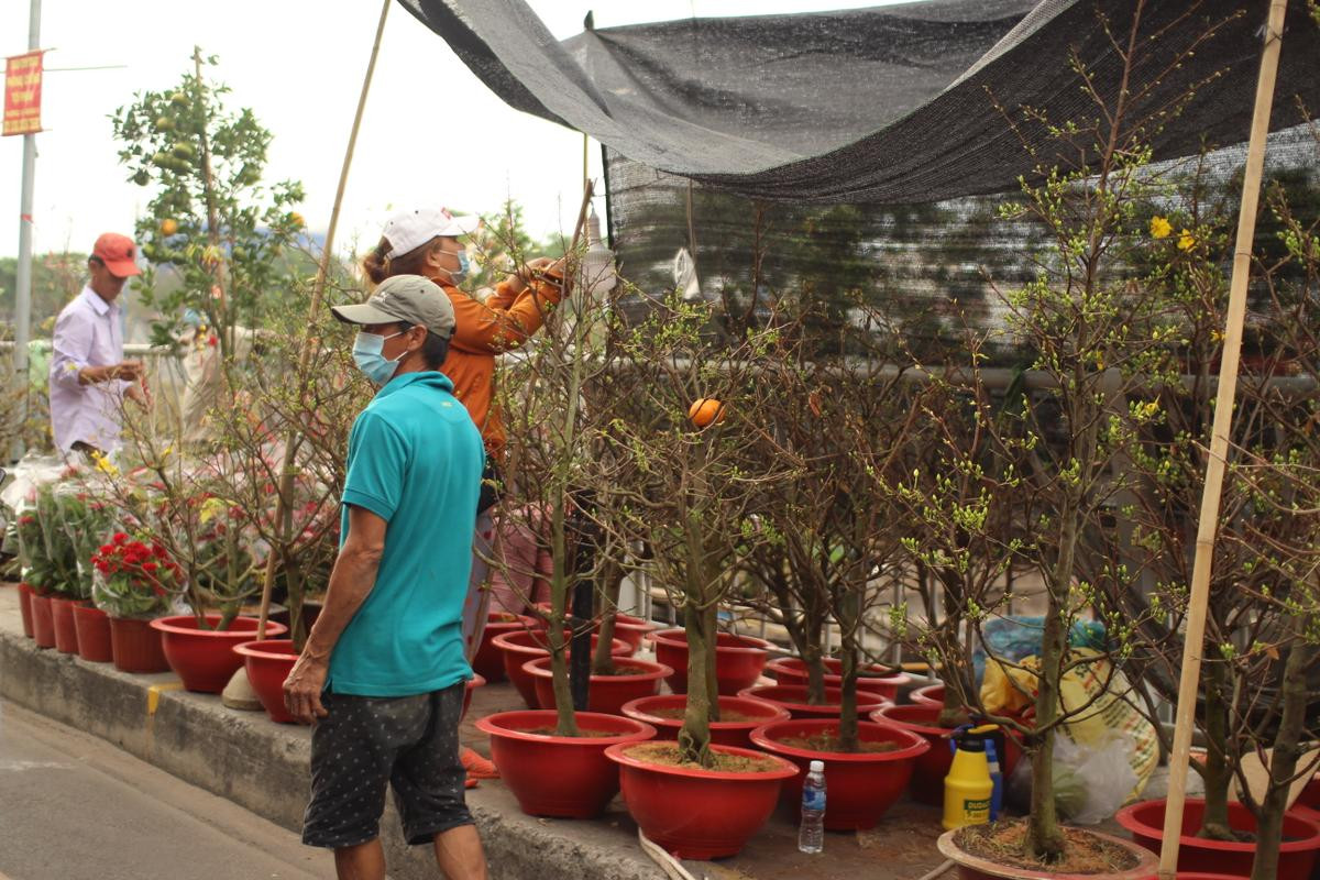 Rộn ràng sắc xuân tại chợ hoa 'Trên bến dưới thuyền' Ảnh 10