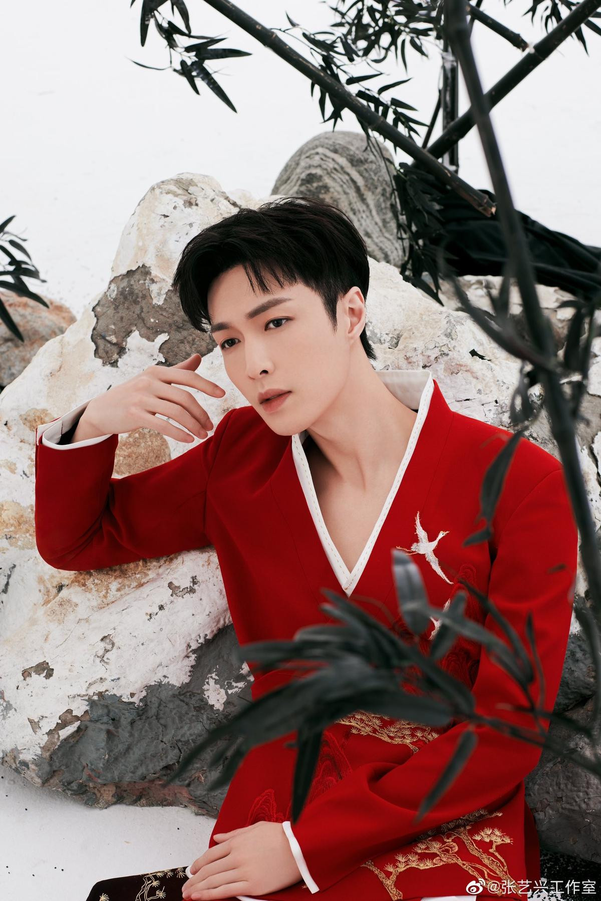 Đêm Xuân đón giao thừa 2021: TFBOYS hội tụ, Vương Nhất Bác, Lý Hiện, Nhậm Gia Luân cùng loạt sao tham dự! Ảnh 22