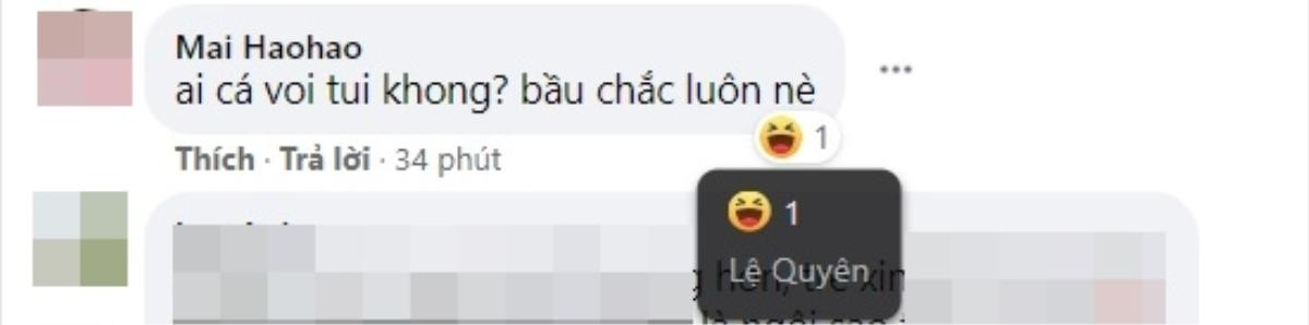 Khi bị cư dân mạng quả quyết đang mang thai, Lệ Quyên có động thái hết sức bất ngờ Ảnh 3