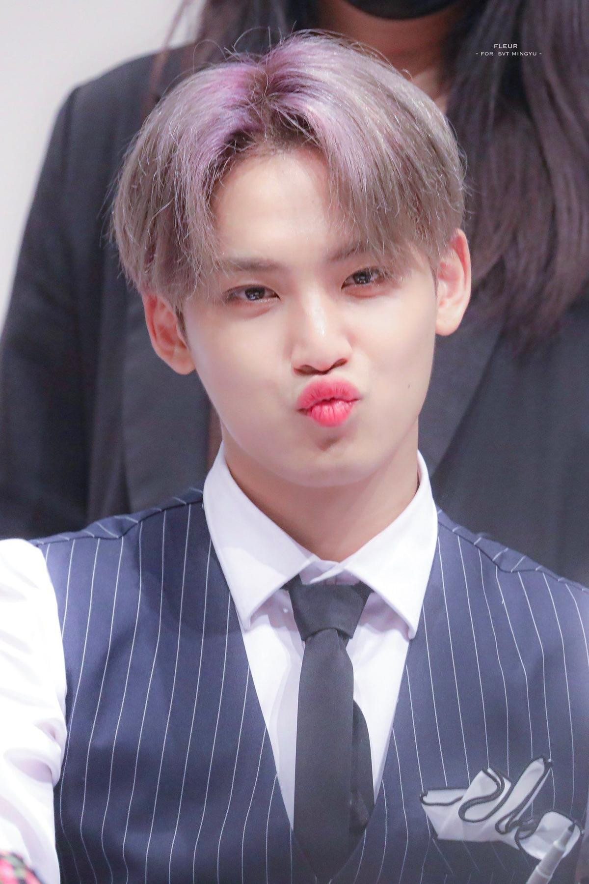 Mingyu (Seventeen) quấy rối tình dục một nữ sinh Ảnh 2