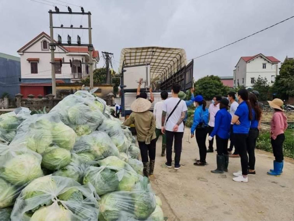 Cặp đôi đã phối hợp cùng Thành đoàn tỉnh Hải Dương để thu mua nông sản của người dân