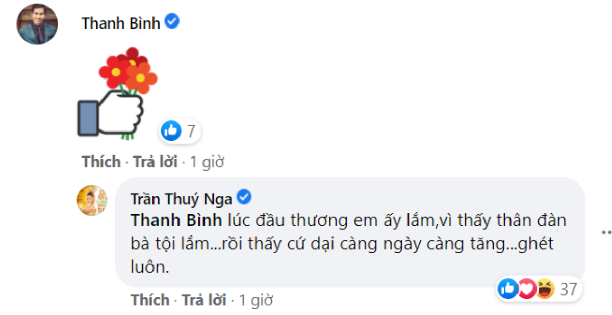 Thúy Nga nhắn nhủ đến vợ cũ Hoàng Anh: Facebook em cứ như cái bãi rác Ảnh 3