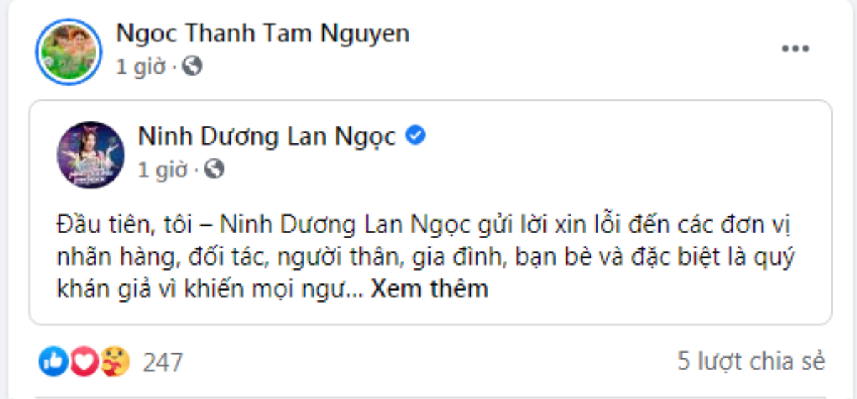 Loạt sao Việt động viên an ủi Ninh Dương Lan Ngọc sau nghi vấn rò rỉ clip nóng! Ảnh 12