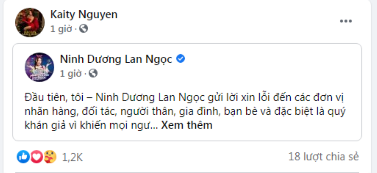 Loạt sao Việt động viên an ủi Ninh Dương Lan Ngọc sau nghi vấn rò rỉ clip nóng! Ảnh 13