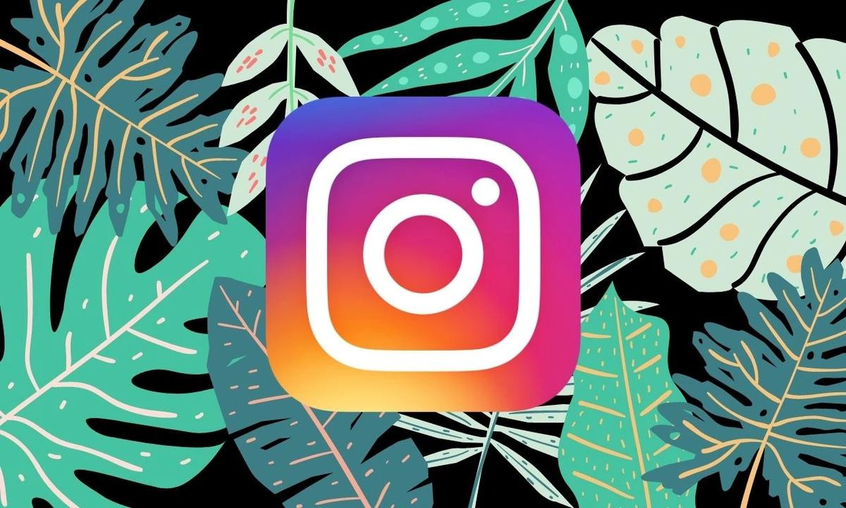 Những bức ảnh của bạn trên Instagram có thể đang được Facebook sử dụng để thực hiện điều này Ảnh 5