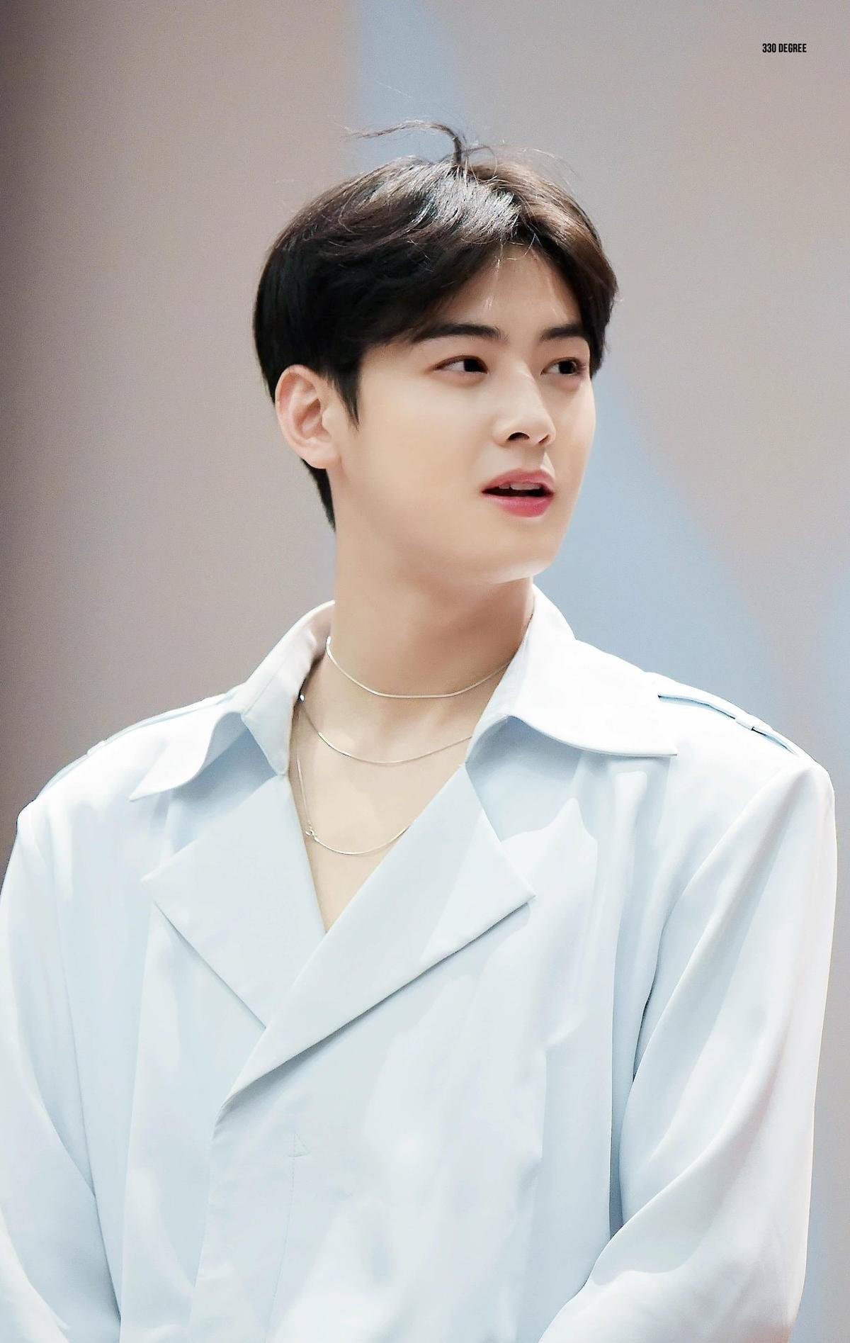 Cha Eun Woo cuối cùng cũng chịu tẩy tóc, chỉ còn duy nhất một nam Idol mãi chung thủy với mái tóc tối màu Ảnh 3