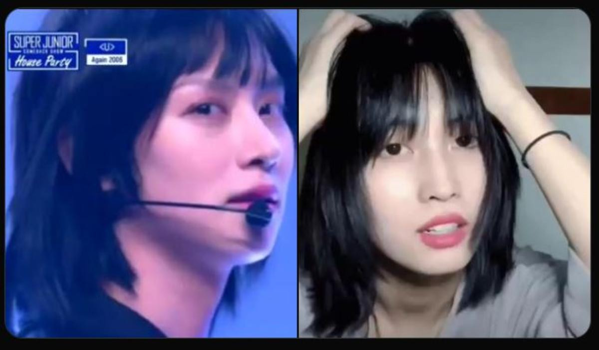 Góc 'tướng phu thê': Khoảnh khắc encore của Heechul sao lại giống Momo thế này Ảnh 6