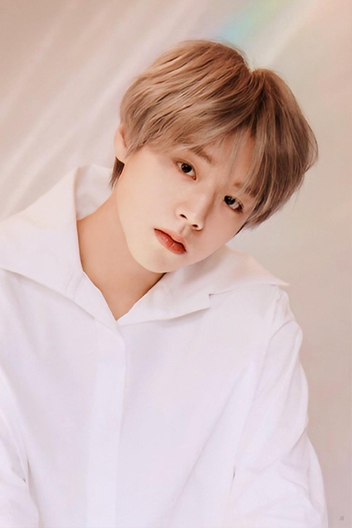 Park Ji Hoon sẽ xuất hiện với tư cách là người dẫn chương trình đặc biệt trên Show! Music Core Ảnh 3