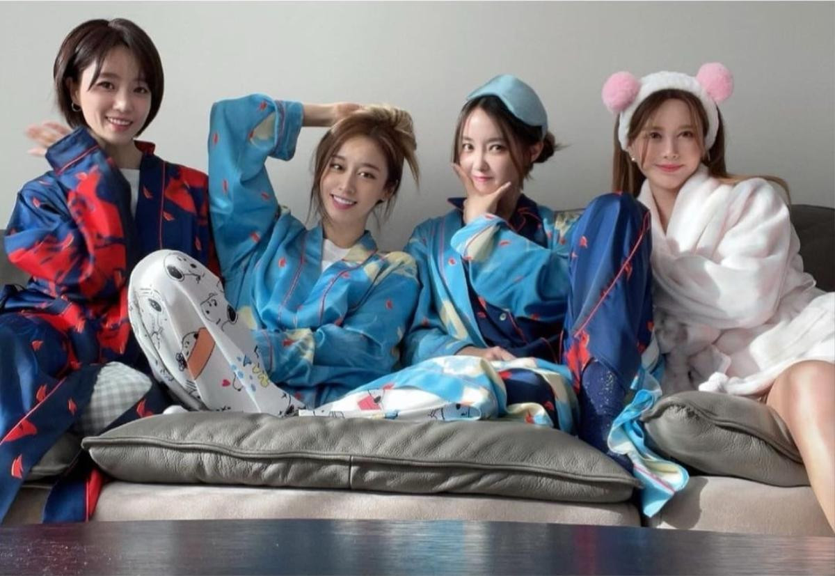 Các thành viên T-ara tụ họp thân thiết khiến fan mong ngóng ngày nhóm tái hợp Ảnh 1