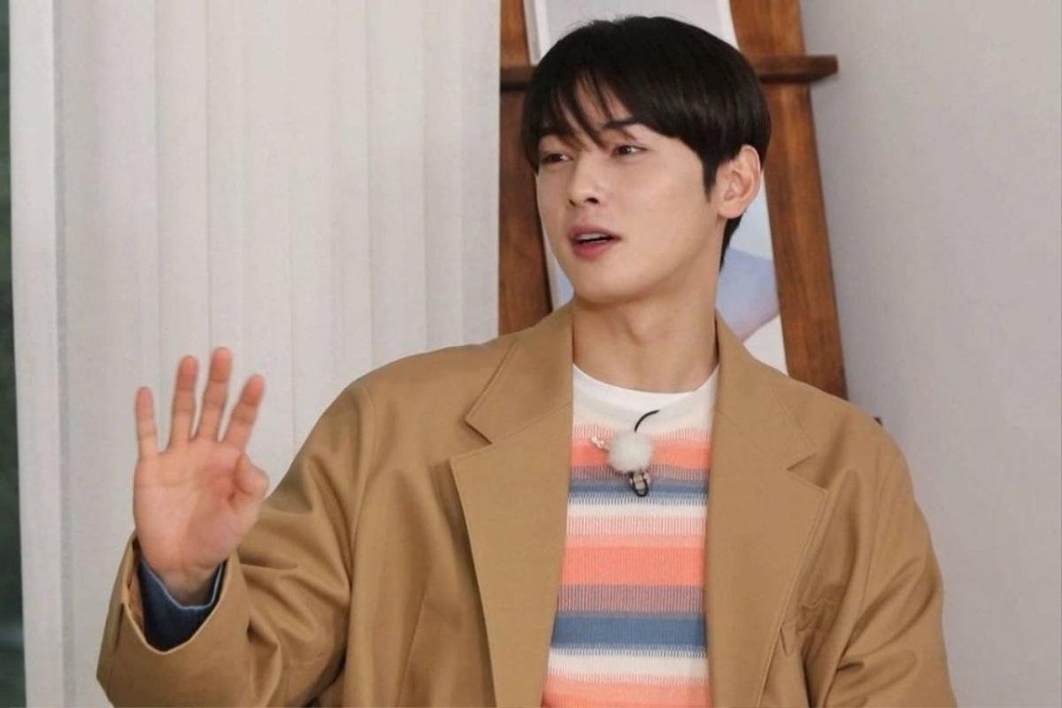 Dân mạng tranh cãi về màu tóc mới của Cha Eun Woo: 'Mặt đẹp nên màu nào cũng đẹp' Ảnh 6