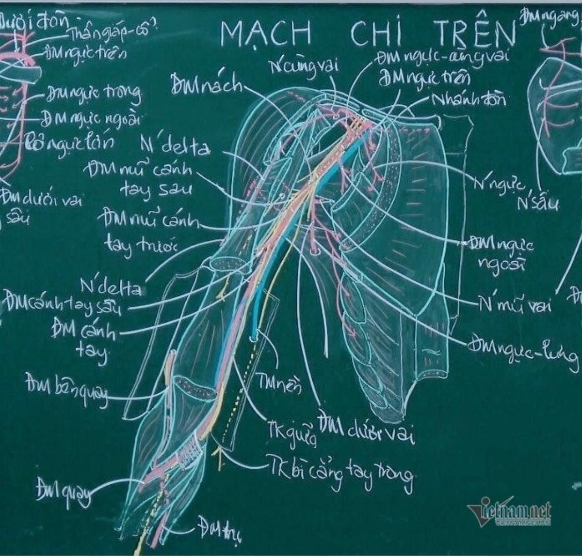 Thầy giáo giải phẫu lên lớp chỉ với… hộp phấn màu Ảnh 2