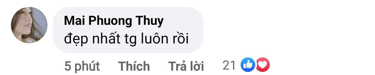 Tiểu Vy chia sẻ khi bị chê thiếu kinh nghiệm làm giám khảo, Mai Phương Thúy vào khen 'đẹp nhất thế giới' Ảnh 2