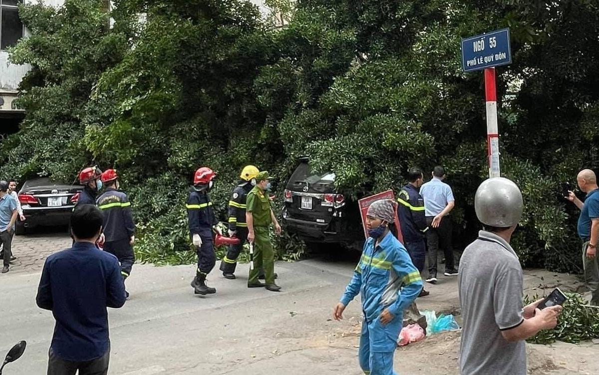 Hà Nội: Cây xanh tươi tốt bất ngờ bật gốc đè lên ô tô con đang lưu thông trên đường Ảnh 2