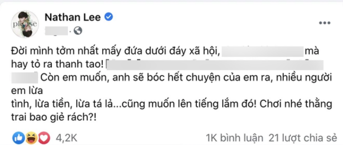 Nathan Lee vừa lên tiếng cảnh cáo, Cao Thái Sơn đã xóa vội bài đăng bênh vực Ngọc Trinh? Ảnh 4