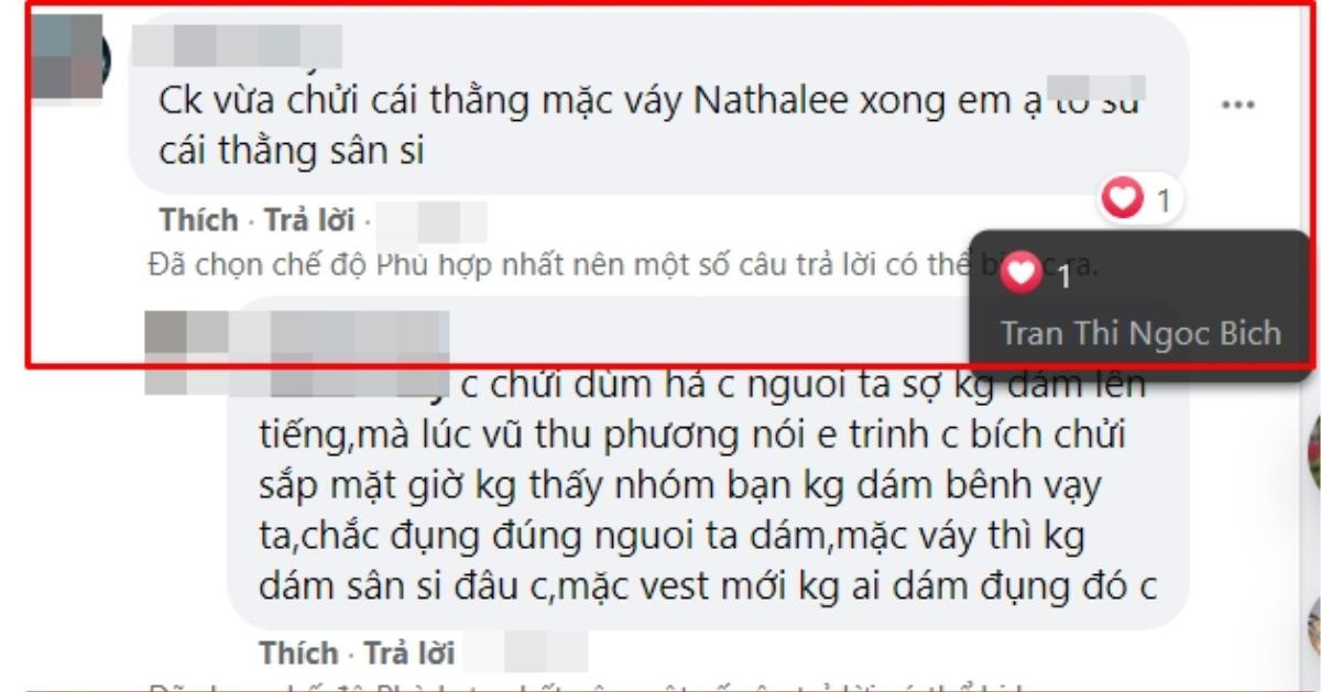 Chị gái Ngọc Trinh thể hiện sự ủng hộ khi có người 'khoe' đã chửi Nathan Lee Ảnh 3