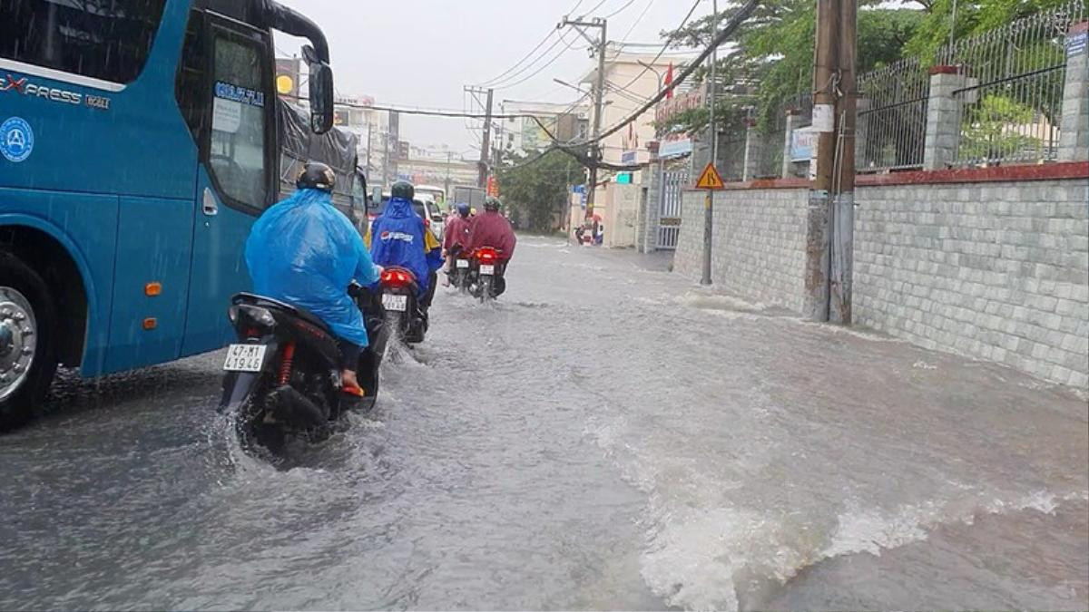 Mưa lớn, nhiều tuyến đường ở TP Thủ Đức hóa thành sông Ảnh 1