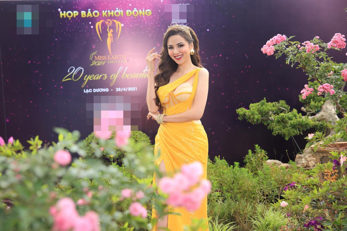 7 đại diện Miss Earth trên một thảm đỏ: Nam Em vẫn tươi tắn dù đang có vấn đề sức khỏe Ảnh 2