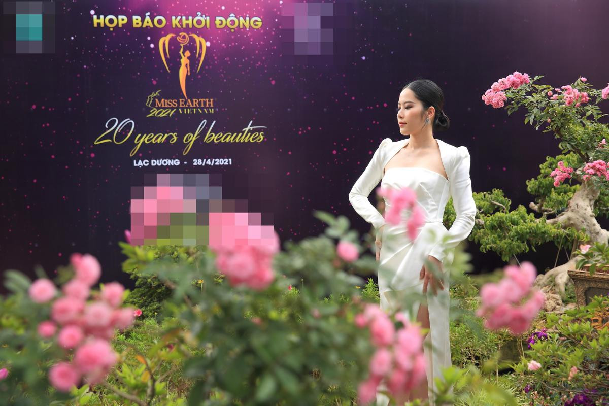 7 đại diện Miss Earth trên một thảm đỏ: Nam Em vẫn tươi tắn dù đang có vấn đề sức khỏe Ảnh 5