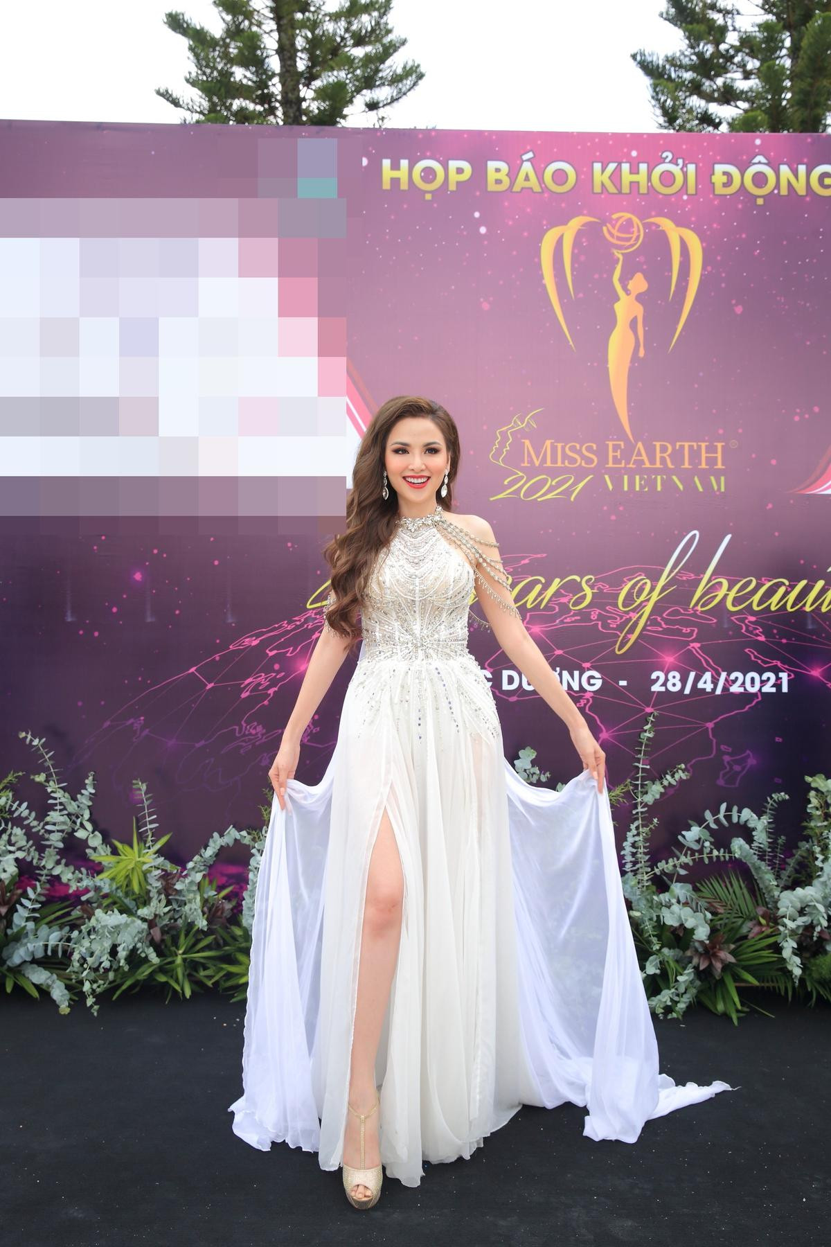 7 đại diện Miss Earth trên một thảm đỏ: Nam Em vẫn tươi tắn dù đang có vấn đề sức khỏe Ảnh 3