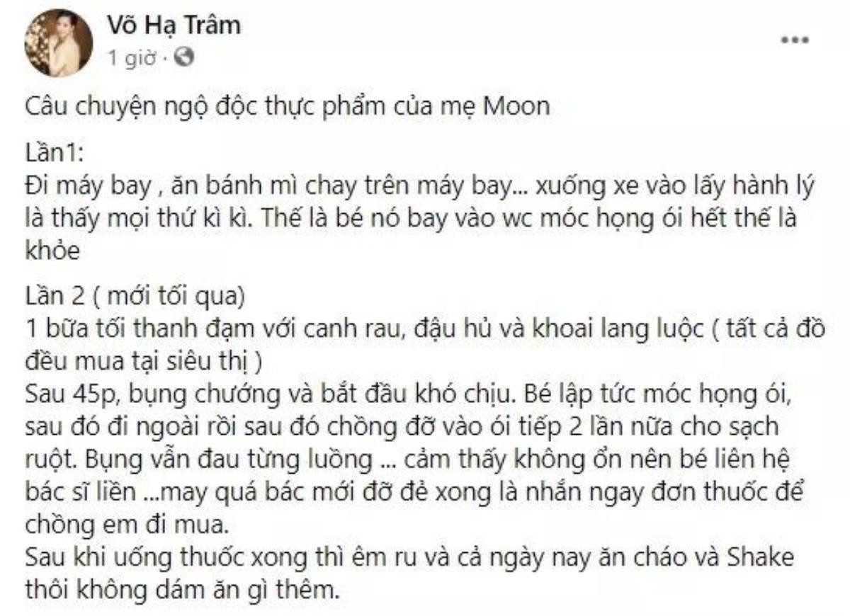 Võ Hạ Trâm ngộ độc thực phẩm trên máy bay khi đang mang thai tháng thứ 7 Ảnh 2