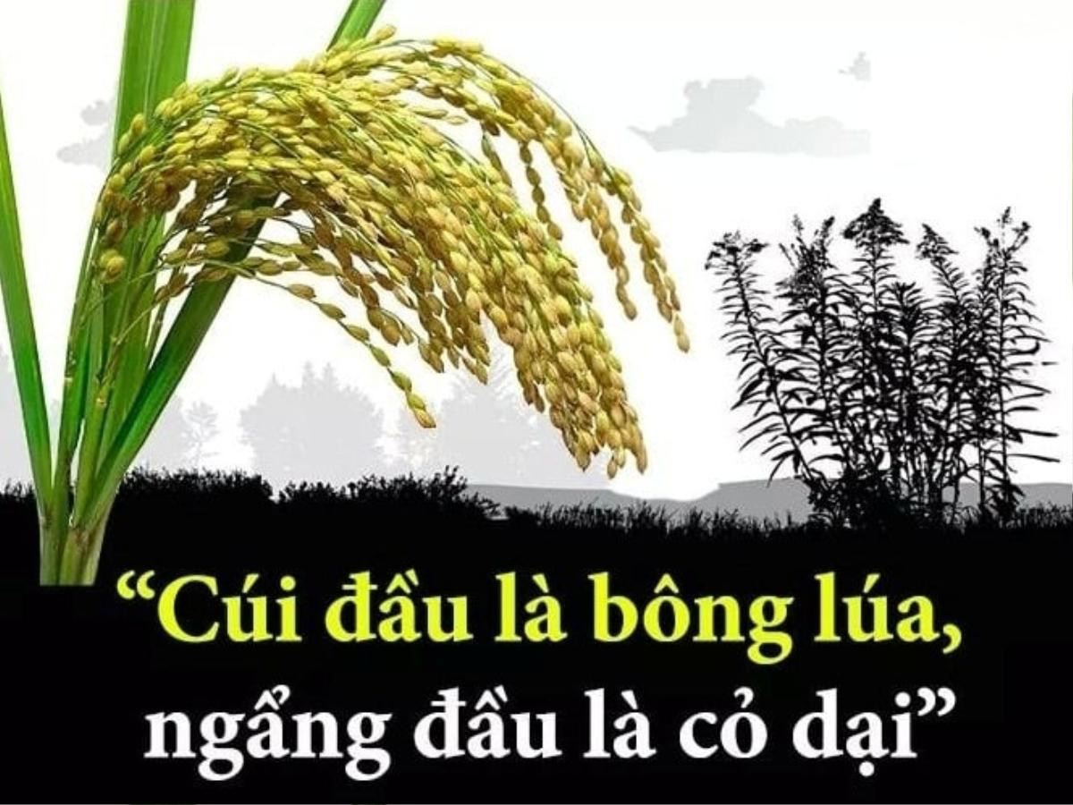 Giữa 'bão drama' ngập trời, Dũng Taylor đăng status ẩn ý, dân mạng 'réo gọi' vợ chồng Dũng 'lò vôi' Ảnh 3