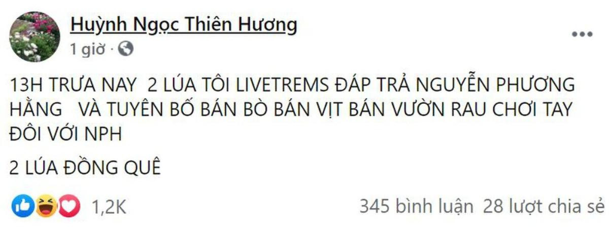 Huỳnh Ngọc Thiên Hương livestream chửi té tát bà Phương Hằng, tiết lộ là vợ bé của ông Dũng 'lò vôi' Ảnh 1