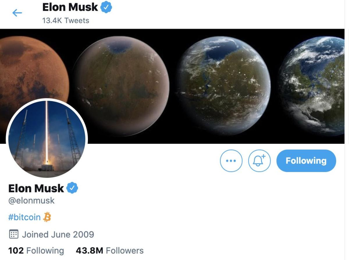 Pha 'lật kèo' của Elon Musk cho thấy tiền ảo mong manh như thế nào Ảnh 1