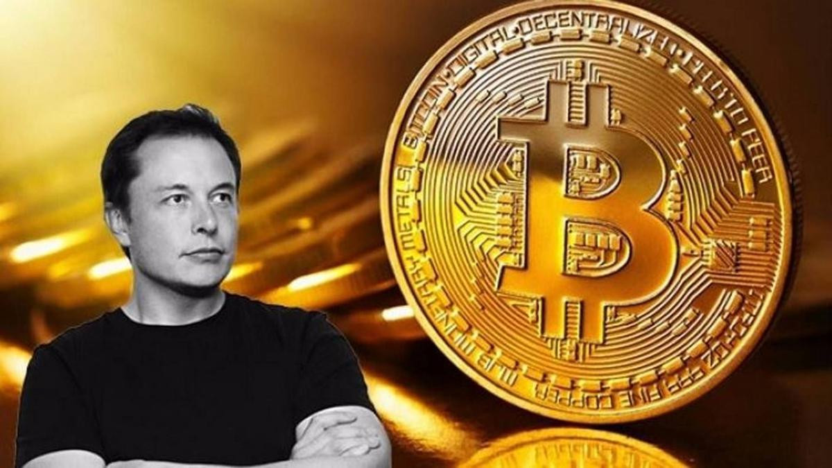 Elon Musk lại chỉ trích Bitcoin, tiếp tục lên tiếng ủng hộ Dogecoin Ảnh 1