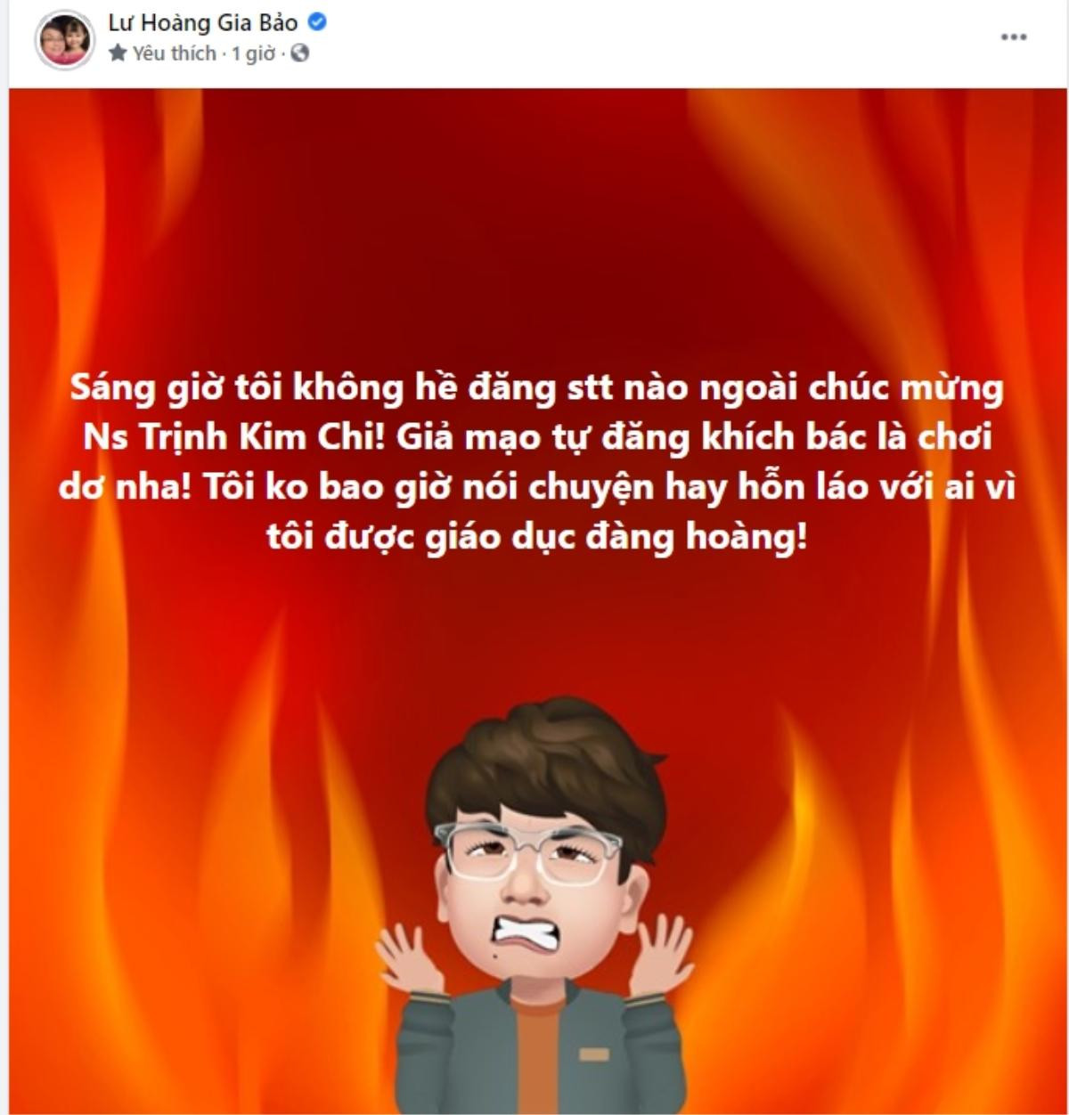 Con nuôi Hoài Linh phủ nhận chuyện hỗn với vợ chồng bà Hằng: 'Giả mạo tự đăng khích bác là chơi dơ' Ảnh 3