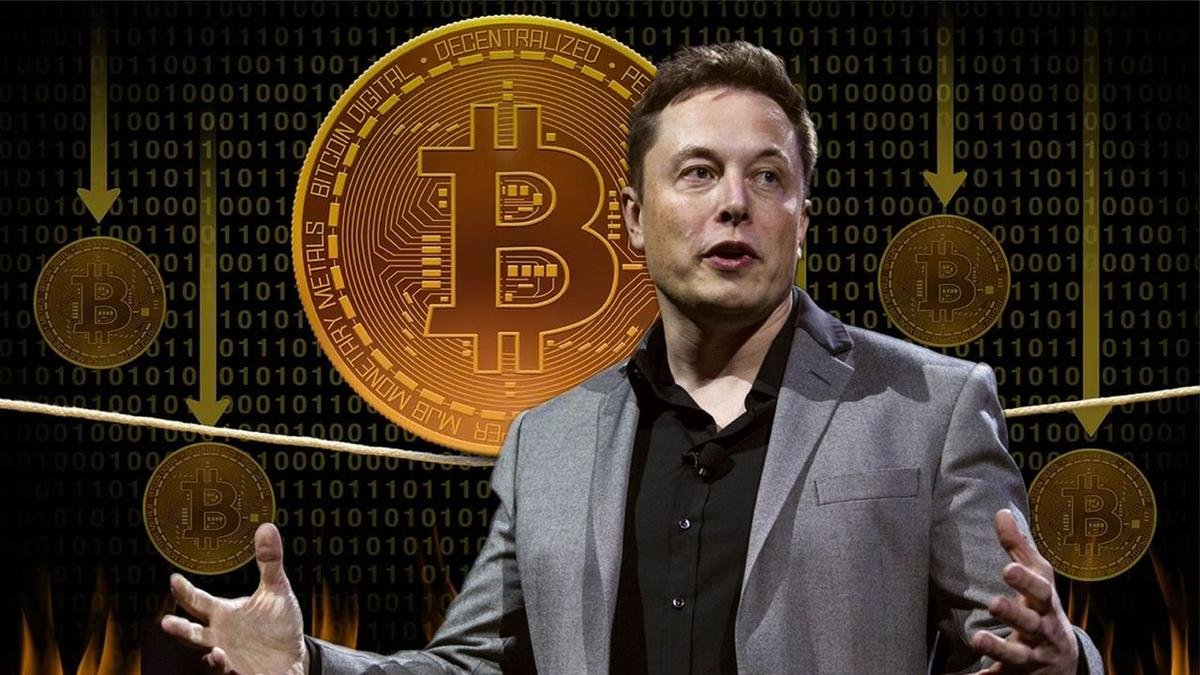 Elon Musk bị phát hiện mua vào 10 nghìn Bitcoin dù chê tiền ảo này gây hại môi trường Ảnh 3