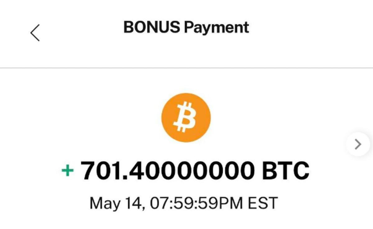 Chuyển nhầm 701 USD thành 701 Bitcoin, bay mất 28 triệu USD trong tích tắc Ảnh 2