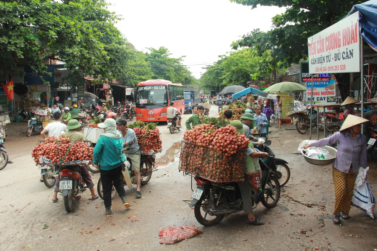 Thực hư thông tin vụ người dân Bắc Giang bị ép giá bán vải xuống còn 2.000 đồng/kg Ảnh 1