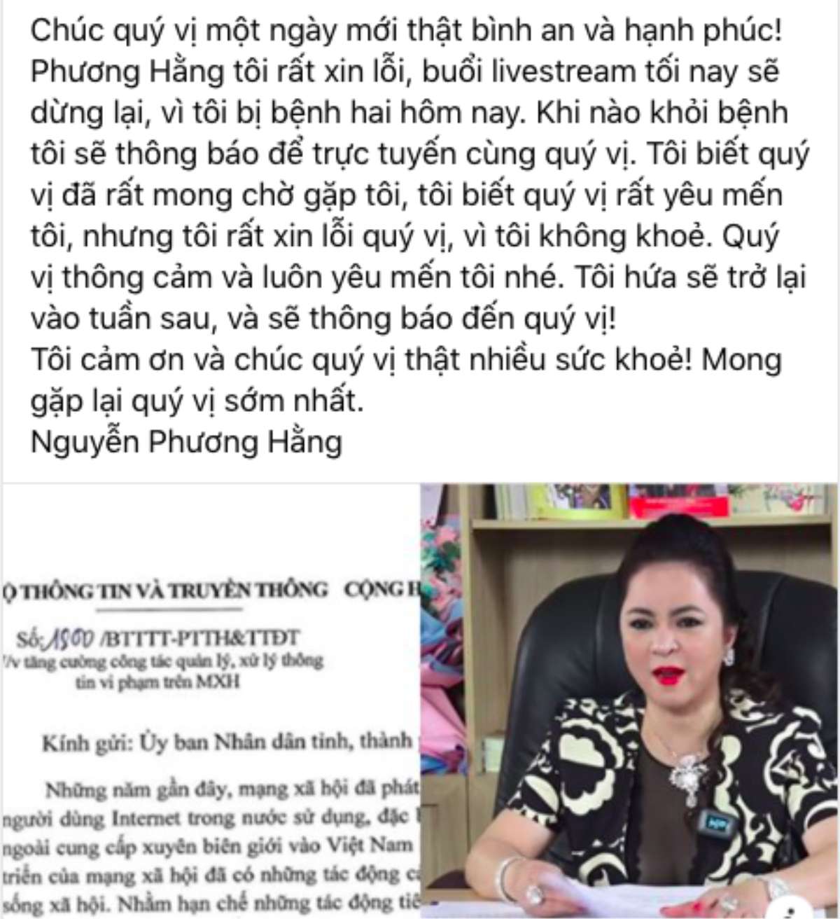 Bà Nguyễn Phương Hằng cam kết thôi không livestream tối nay Ảnh 2