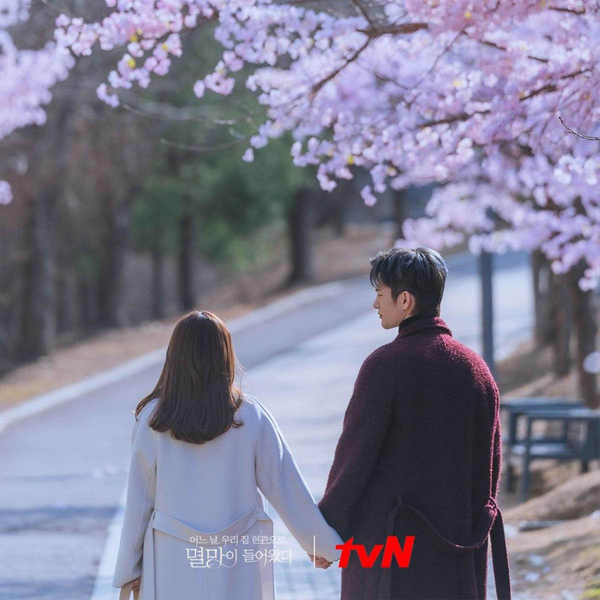 Phim của Lee Do Hyun rating giảm - Phim của Park Bo Young rating 'chạm đáy' Ảnh 4