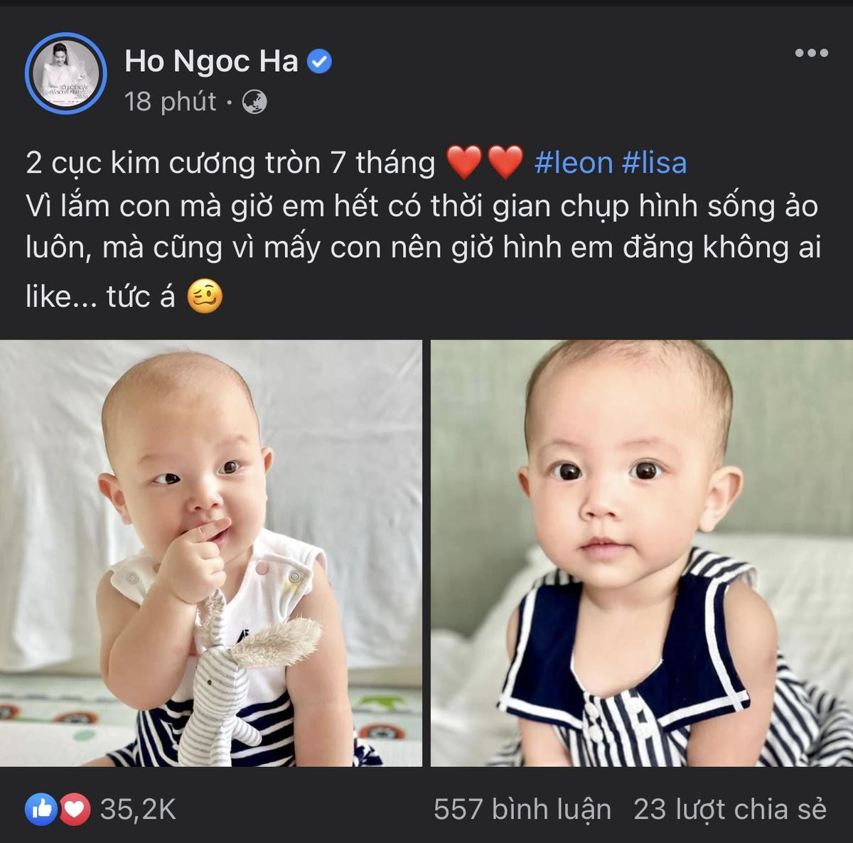 Hà Hồ lên mạng 'trách móc' Lisa - Leon, nghe xong lý do ai cũng 'bật ngửa' Ảnh 2